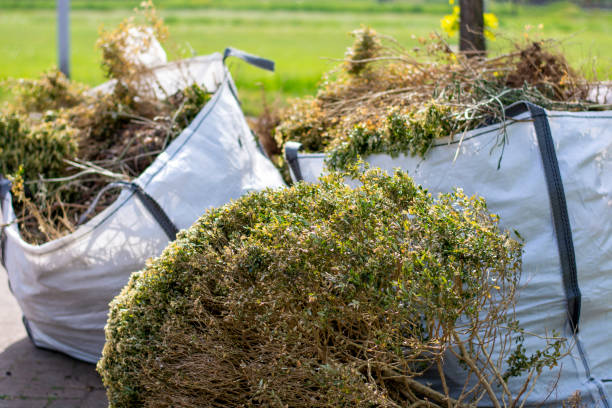 Best Property Management Cleanouts  in Watford City, ND